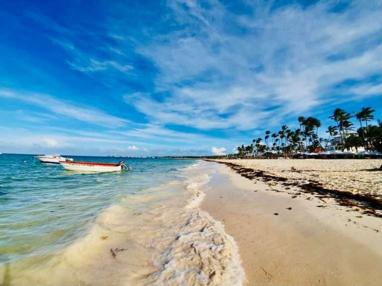 Grupo Puntacana elogia a Abinader por promover el país y atraer nuevas inversiones