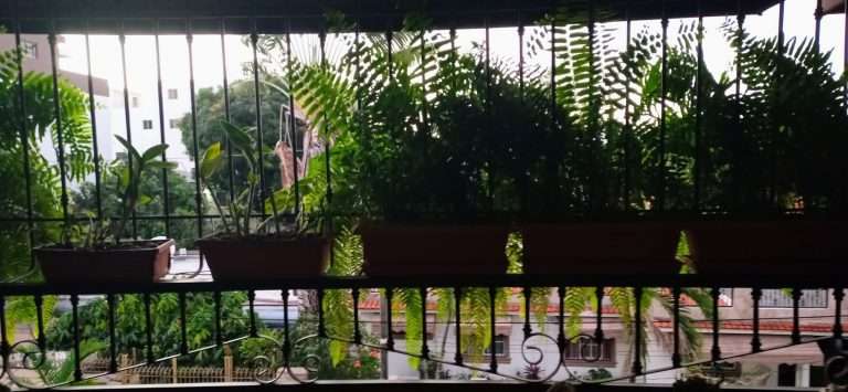 Un hábil rejillero que aprendió el arte del hierro «curioseando»